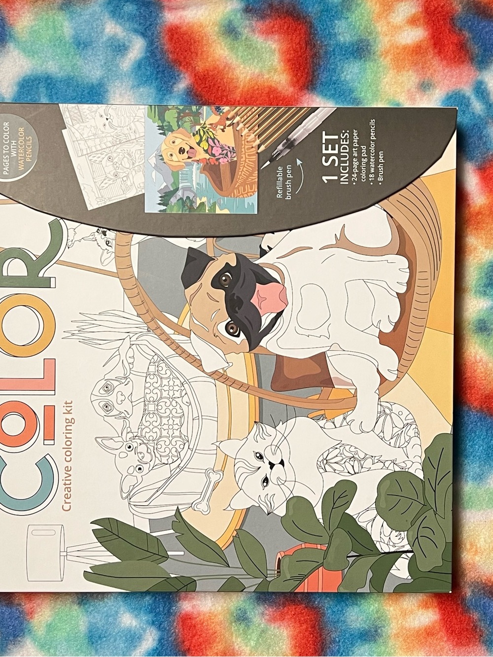 Pets in Color Creative Coloring Kit - Multicolor - Picture 9 of 12